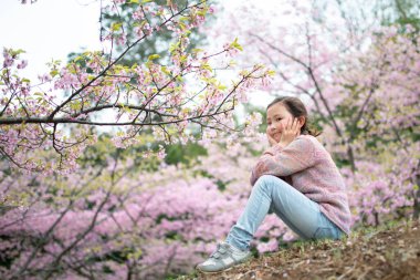 Genç Asyalı kız Sakura ağaçlarıyla parkta eğleniyor. 