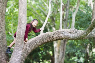 Mutlu küçük kız ağaca tırmanıyor.