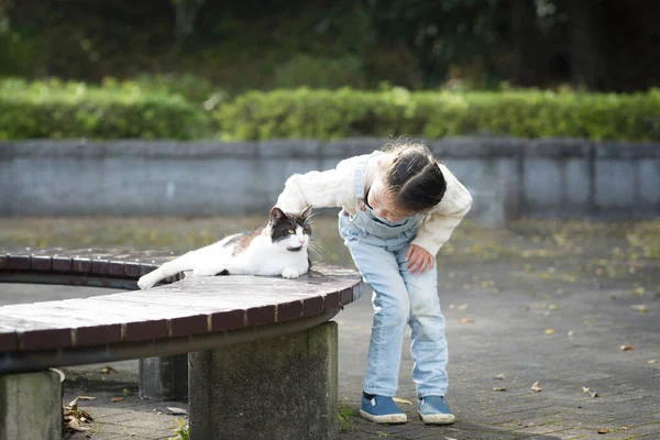 Genç Asyalı kız parkta kediyle oynuyor.