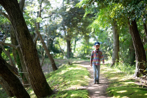 Küçük tatlı Asyalı kız ormanda yürüyor.