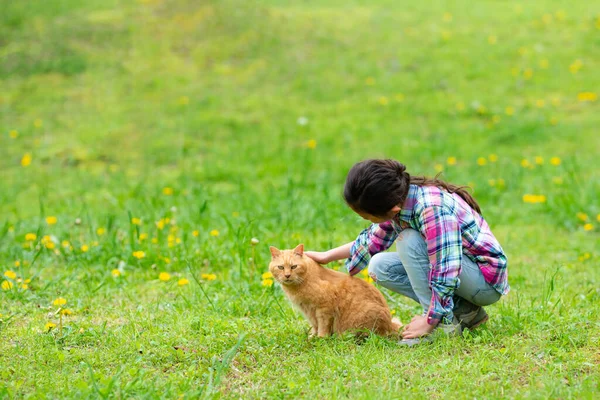 Yeşil çimlerde kedisi olan küçük kız