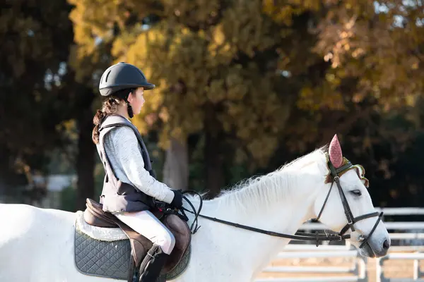 Ata binen güzel Asyalı küçük kız portresi