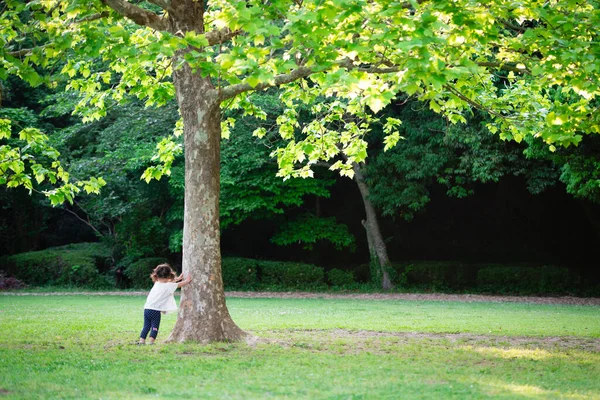 Parktaki küçük tatlı Asyalı kız bu ağaç 
