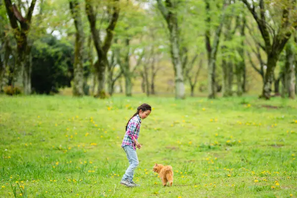 Küçük kız parkta kediyle oynuyor.