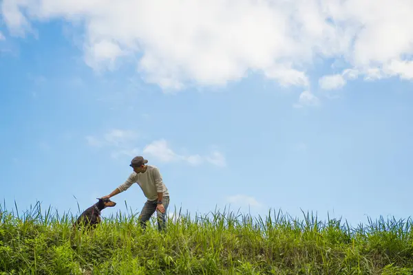 Bahçede köpekle oynayan adam.