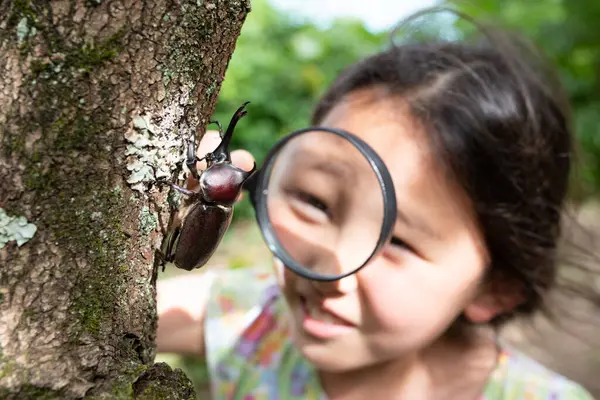 Güzel kız böceğin üzerindeki büyüteçten bakıyor. 