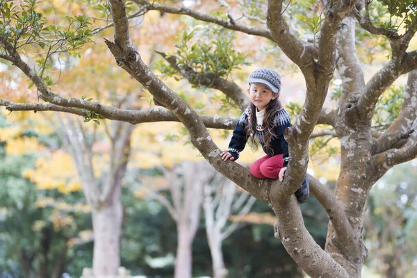 Güzel küçük Asyalı kız ağaca tırmanıyor.