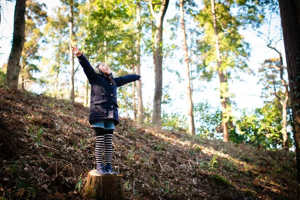 Parktaki ağaç kütüğündeki güzel Asyalı kız. 