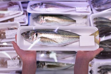 Süpermarkette balıklı eller. Kapat.