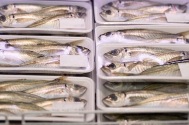 Süpermarkette buzda taze balık, yakın çekim.