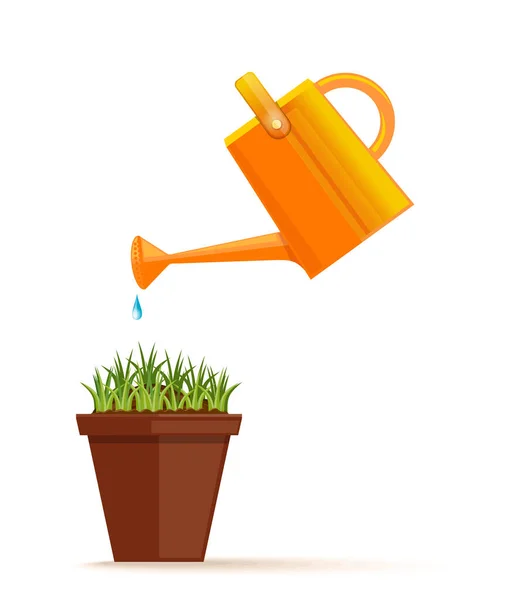 Young Green Grass Flower Pot Pot Watered Plastic Watering Can — Stock Vector
