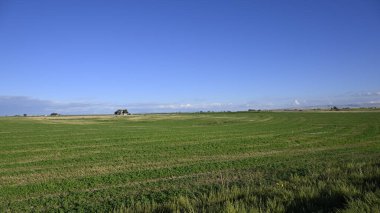 Çimenli manzara alanı. Kırsal alan. Köy manzarası. Yeşil alan. Yaz tarlası. Köyde yaz mevsimi. Tarım. Yaz kır manzarası. Saha. Çimenler. Idaho 'da yaz. Idaho 'da tarım. Kırsalda yaz mevsimi. Yaz havası.
