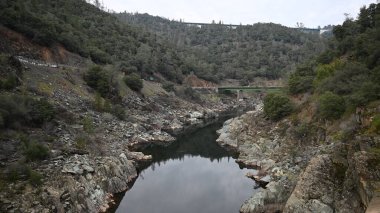 Ormandaki güzel manzara. dağ nehri. dağ pınarı.