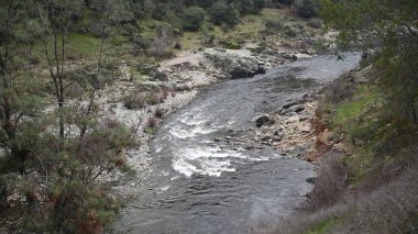 Ormandaki güzel manzara. dağ nehri. dağ pınarı.
