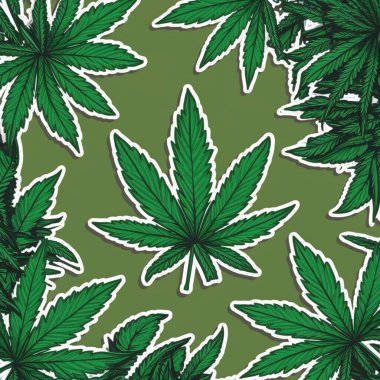 Esrar kenevir yaprağının arka plan şablonu 