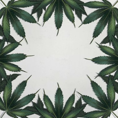 Esrar kenevir arka planı 