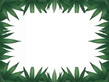 Esrar kenevir arka planı 