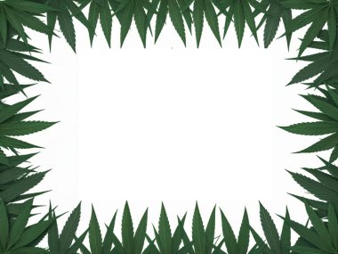 Esrar kenevir arka planı 