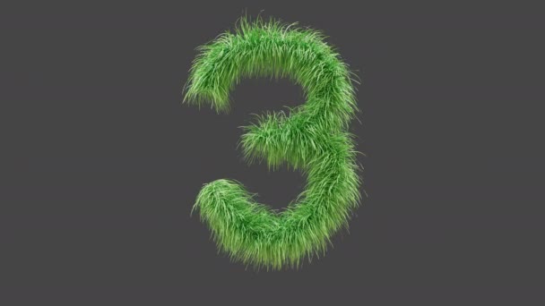 3D动画绿草3号 隔离美丽数量的绿草随风飘扬 3D渲染 Rgb阿尔法 Uhd — 图库视频影像