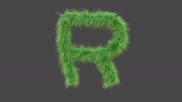 3D动画绿草字母R 孤立美丽的绿草字母在风中飘扬 3D渲染 Rgb阿尔法 Uhd — 图库视频影像