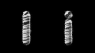 Büyük ve küçük yün harflerin 3 boyutlu animasyonu. Zebra hayvanının tarzında yün. Dosyada bir Alfa Kanalı var. ProRes4 RGBA