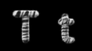 Büyük ve küçük harfli bir T harfinin 3 boyutlu animasyonu. Zebra hayvanının tarzında. Dosyada bir Alfa Kanalı var. ProRes4 RGBA