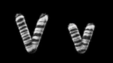 Büyük ve küçük harfli bir V harfinin 3 boyutlu animasyonu. Zebra hayvanının tarzında. Dosyada bir Alfa Kanalı var. ProRes4 RGBA