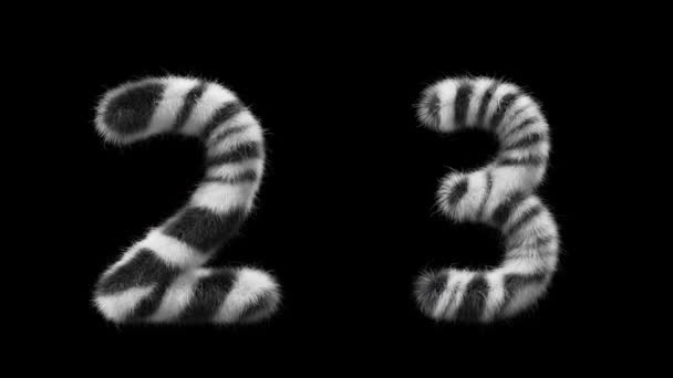 Animation Woolen Numbers Wool Style Zebra Animal File Contains Alpha — Stock Video