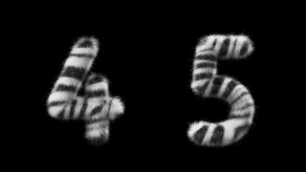 Animatie Wollen Nummers Wol Stijl Van Het Zebra Dier Het — Stockvideo