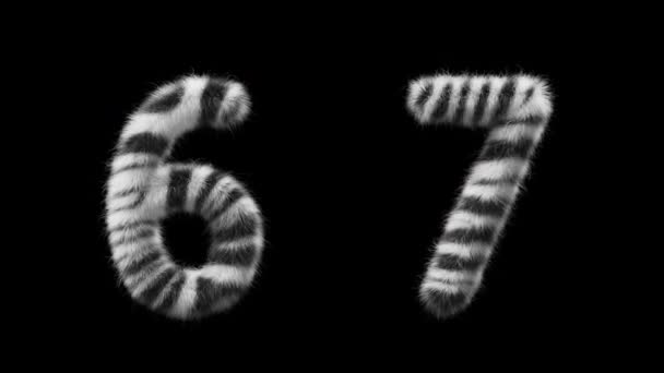 Animacja Wełniane Numery Wełna Stylu Zwierzęcia Zebra Plik Zawiera Kanał — Wideo stockowe