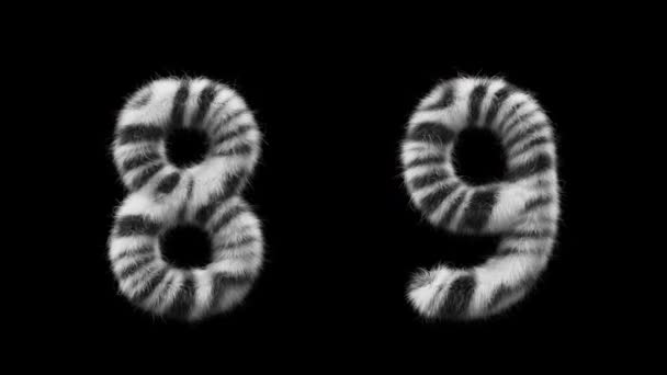 Animação Números Estilo Animal Zebra Ficheiro Contém Canal Alfa Prores4 — Vídeo de Stock