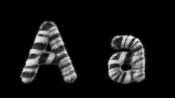 大写字母A 和小写字母A 的3D动画羊毛是斑马动物的风格 该文件包含一个阿尔法通道 Prores4 Rgba — 图库视频影像