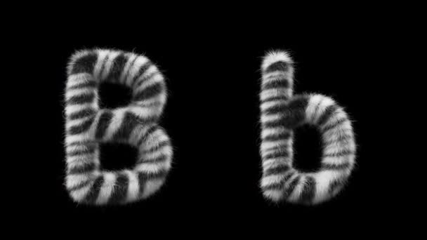 大写字母B和小写字母B的3D动画羊毛是斑马动物的风格 该文件包含一个阿尔法通道 Prores4 Rgba — 图库视频影像