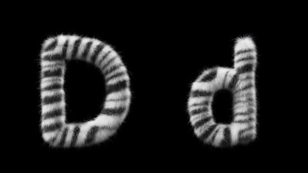 Büyük Küçük Harfli Bir Harfinin Boyutlu Animasyonu Zebra Hayvanının Tarzında — Stok video