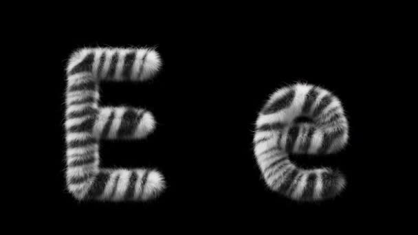 3D动画的大写字母E Wool和小写字母E Wool风格的斑马动物 该文件包含一个阿尔法通道 Prores4 Rgba — 图库视频影像