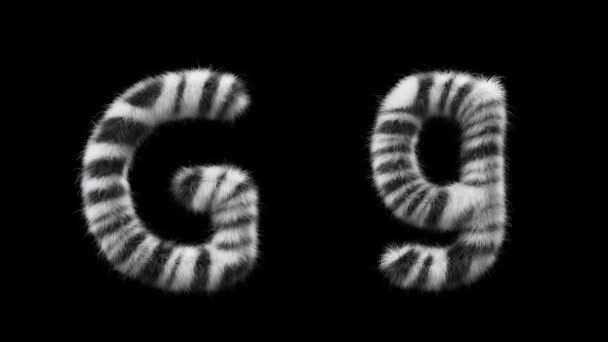 3D动画的大写字母和小写字母G羊毛风格的斑马动物 该文件包含一个阿尔法通道 Prores4 Rgba — 图库视频影像