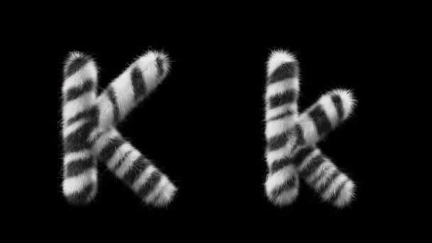 Animation Uppercase Lowercase Woolen Letter Wool Style Zebra Animal File — Stock Video