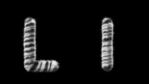 3D动画的大写字母L Wool和小写字母L Wool风格的斑马动物 该文件包含一个阿尔法通道 Prores4 Rgba — 图库视频影像