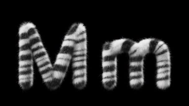 アッパーケースの3Dアニメーションと Zebra動物のスタイルのウールM ウール ファイルにはアルファチャンネルが含まれています Prores4 Rgbaについて — ストック動画