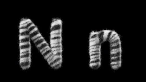 Animação Uma Letra Maiúscula Minúscula Estilo Animal Zebra Ficheiro Contém — Vídeo de Stock