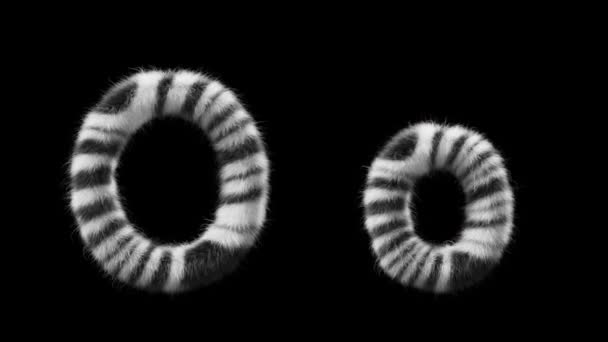 大写字母O和小写字母O的3D动画羊毛是斑马动物的风格 该文件包含一个阿尔法通道 Prores4 Rgba — 图库视频影像