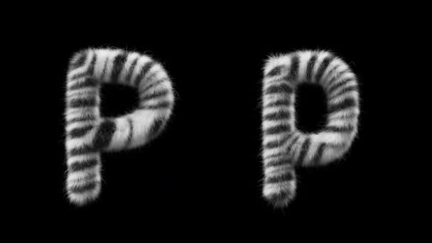 3D动画的大写字母和小写字母P 伍尔风格的斑马动物 该文件包含一个阿尔法通道 Prores4 Rgba — 图库视频影像