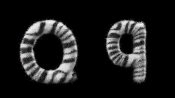 Büyük Küçük Harflerinin Boyutlu Animasyonları Zebra Hayvanının Tarzında Yün Dosyada — Stok video