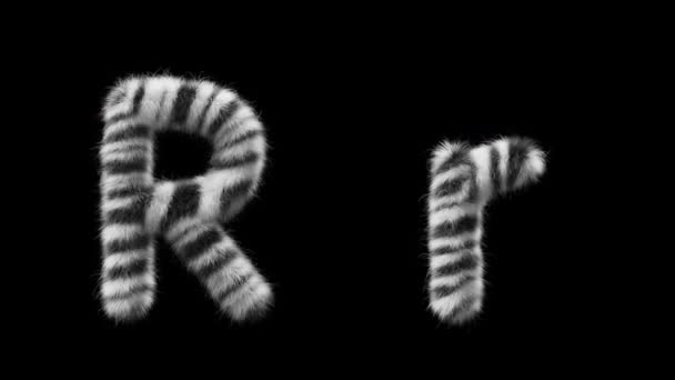 3D动画的大写字母R Wool和小写字母R Wool风格的斑马动物 该文件包含一个阿尔法通道 Prores4 Rgba — 图库视频影像
