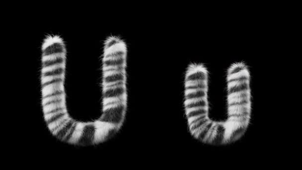 大写字母U 和小写字母U 的3D动画羊毛是斑马动物的风格 该文件包含一个阿尔法通道 Prores4 Rgba — 图库视频影像