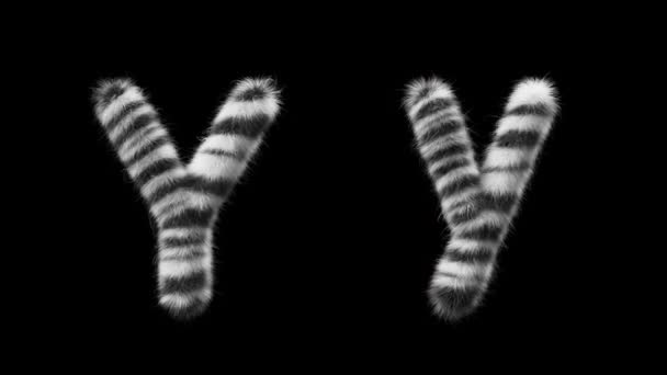 大写字母Y和小写字母Y的3D动画羊毛是斑马动物的风格 该文件包含一个阿尔法通道 Prores4 Rgba — 图库视频影像