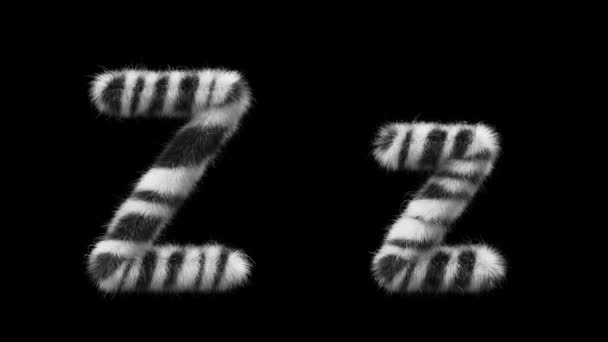 大写字母Z和小写字母Z的3D动画羊毛是斑马动物的风格 该文件包含一个阿尔法通道 Prores4 Rgba — 图库视频影像