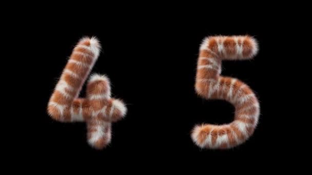 Animation Woolen Numbers Wool Style Giraffe Animal File Contains Alpha — Stock Video