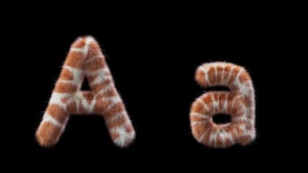 アッパーケースと小文字Aの3Dアニメーション キリン動物のスタイルのウール ファイルにはアルファチャンネルが含まれています Prores4 Rgbaについて — ストック動画