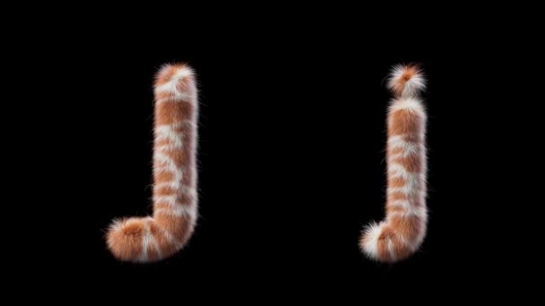 大写字母J和小写字母J的3D动画羊毛是长颈鹿的风格 该文件包含一个阿尔法通道 Prores4 Rgba — 图库视频影像